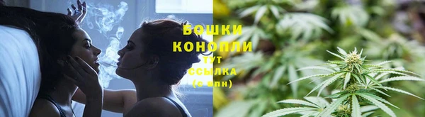 дурь Надым