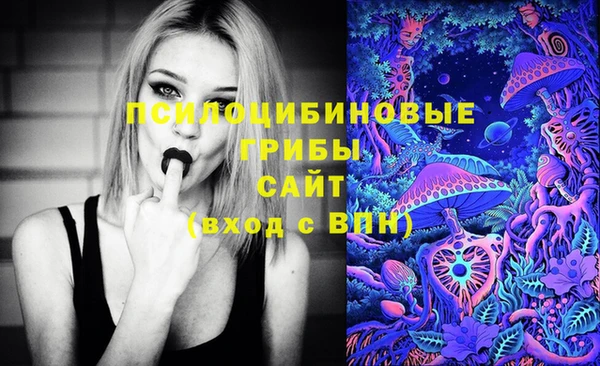 метадон Нея
