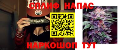 ГАЛЛЮЦИНОГЕННЫЕ ГРИБЫ Лесной