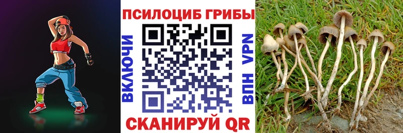 где найти наркотики  Мончегорск  Галлюциногенные грибы Psilocybine cubensis 
