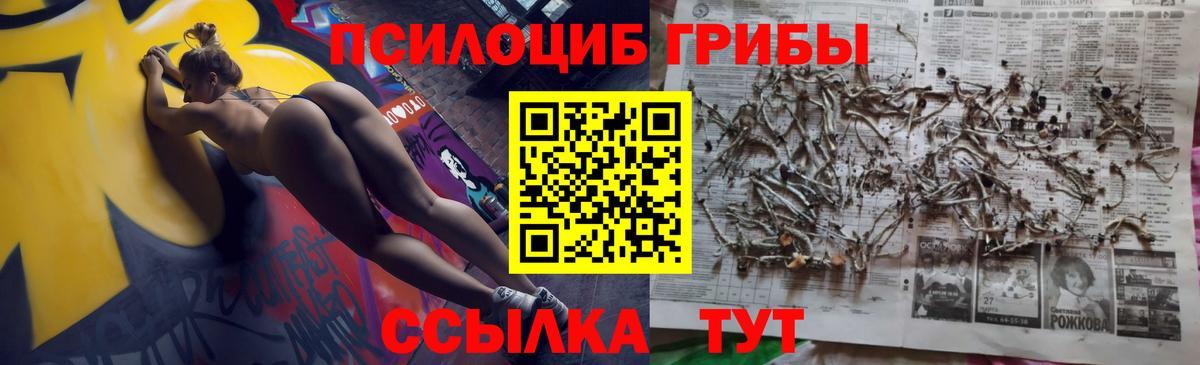 где найти   Псилоцибиновые грибы Cubensis  Мончегорск  Вход с VPN  Галлюциногенные грибы Psilocybe 