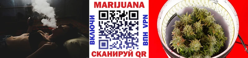 Конопля White Widow  купить наркотики сайты  Мончегорск 